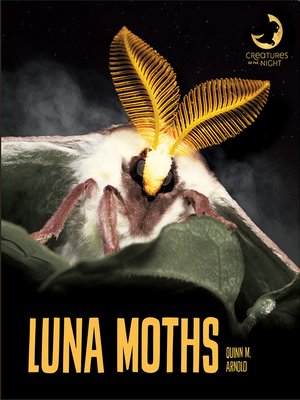 cover image of Luna Moths